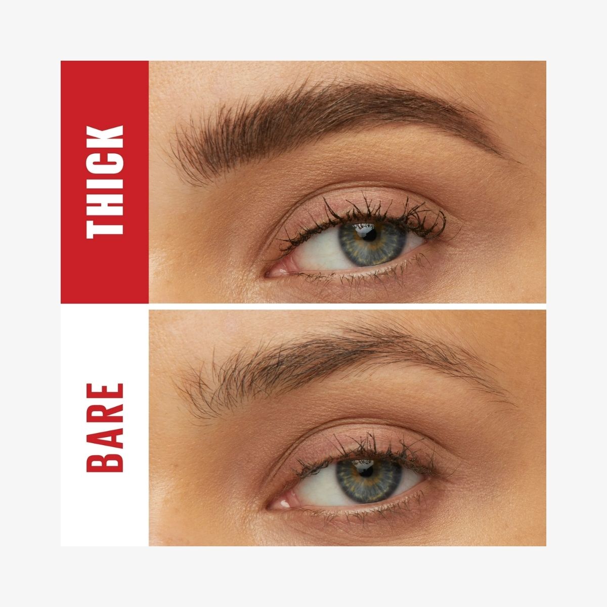 TAF - Maybelline 36Hr Tattoo Studio Styling Waterproof Brow Gel