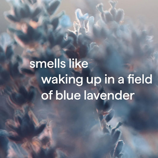 MART - Method Body Wash - Wind Down