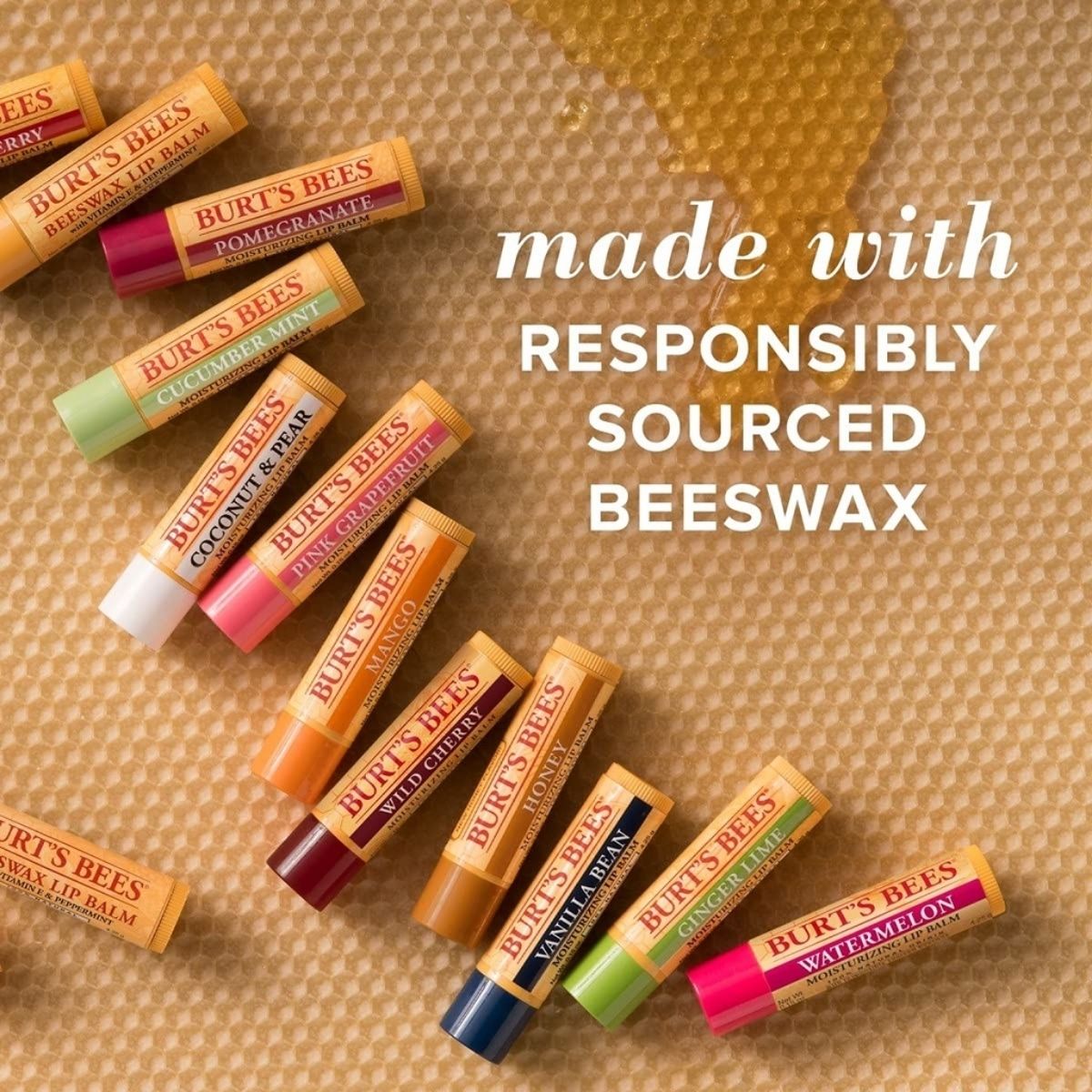 SOG - Burt's Bees Moisturizing Lip Balm
