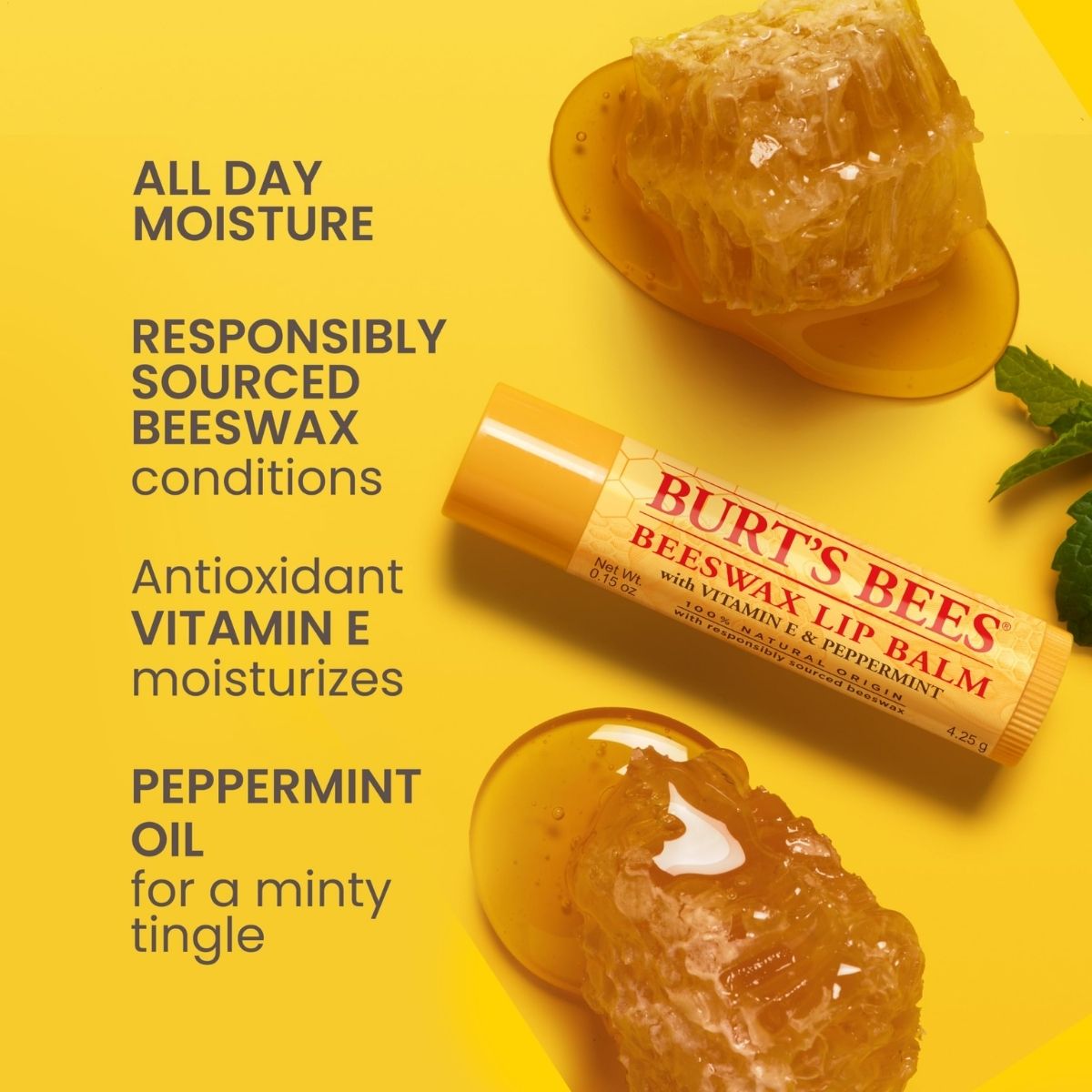 SOG - Burt's Bees Moisturizing Lip Balm