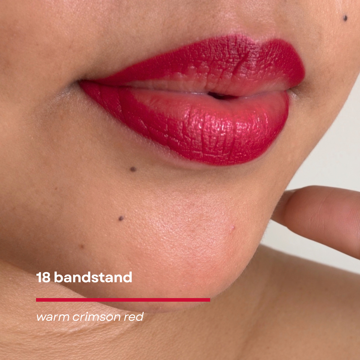 SACH Shape n Sculpt Pro Precision Lip Liner