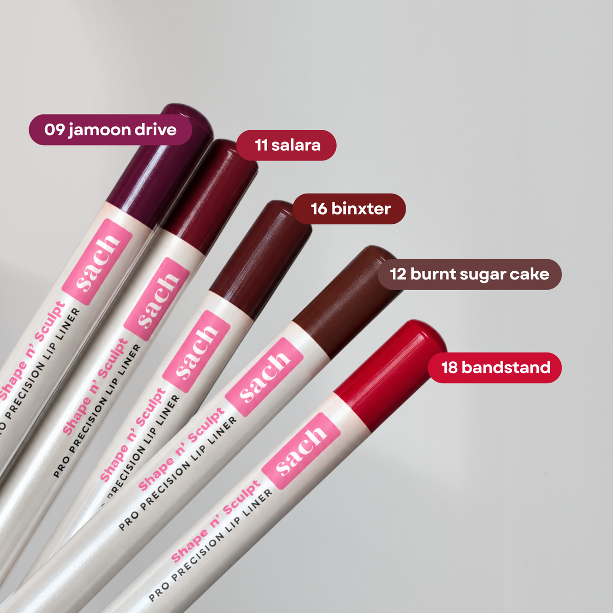 SACH Shape n Sculpt Pro Precision Lip Liner
