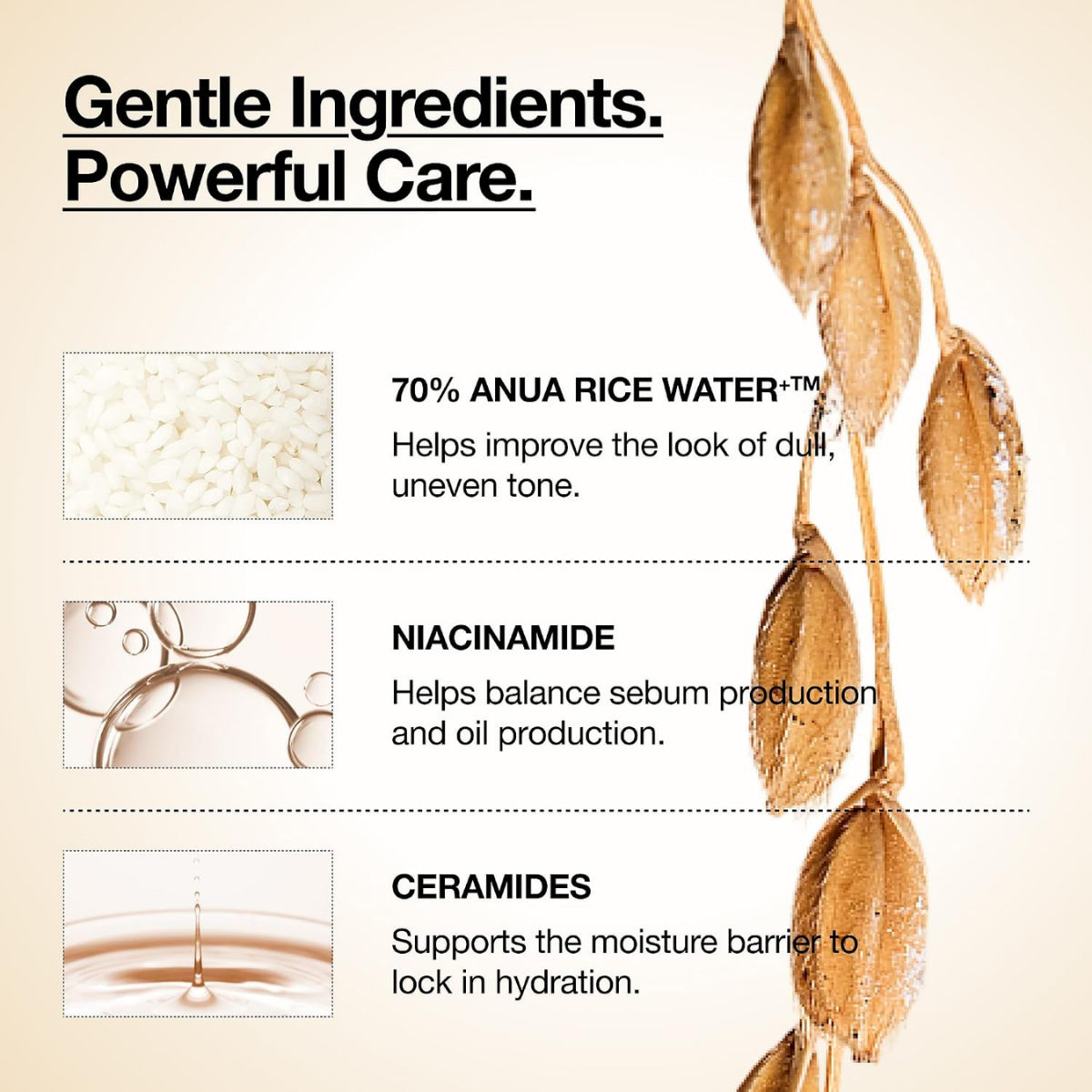 TAF - Anua Rice 70 + Ceramide Glow Milky Toner