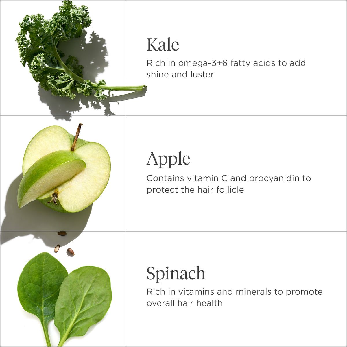 FG - Briogeo Superfoods Kale + Apple Replenishing Conditioner