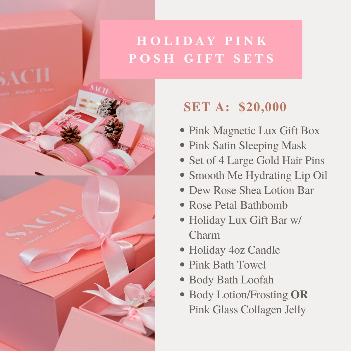 SACH Pink Posh  Lux Gift Set