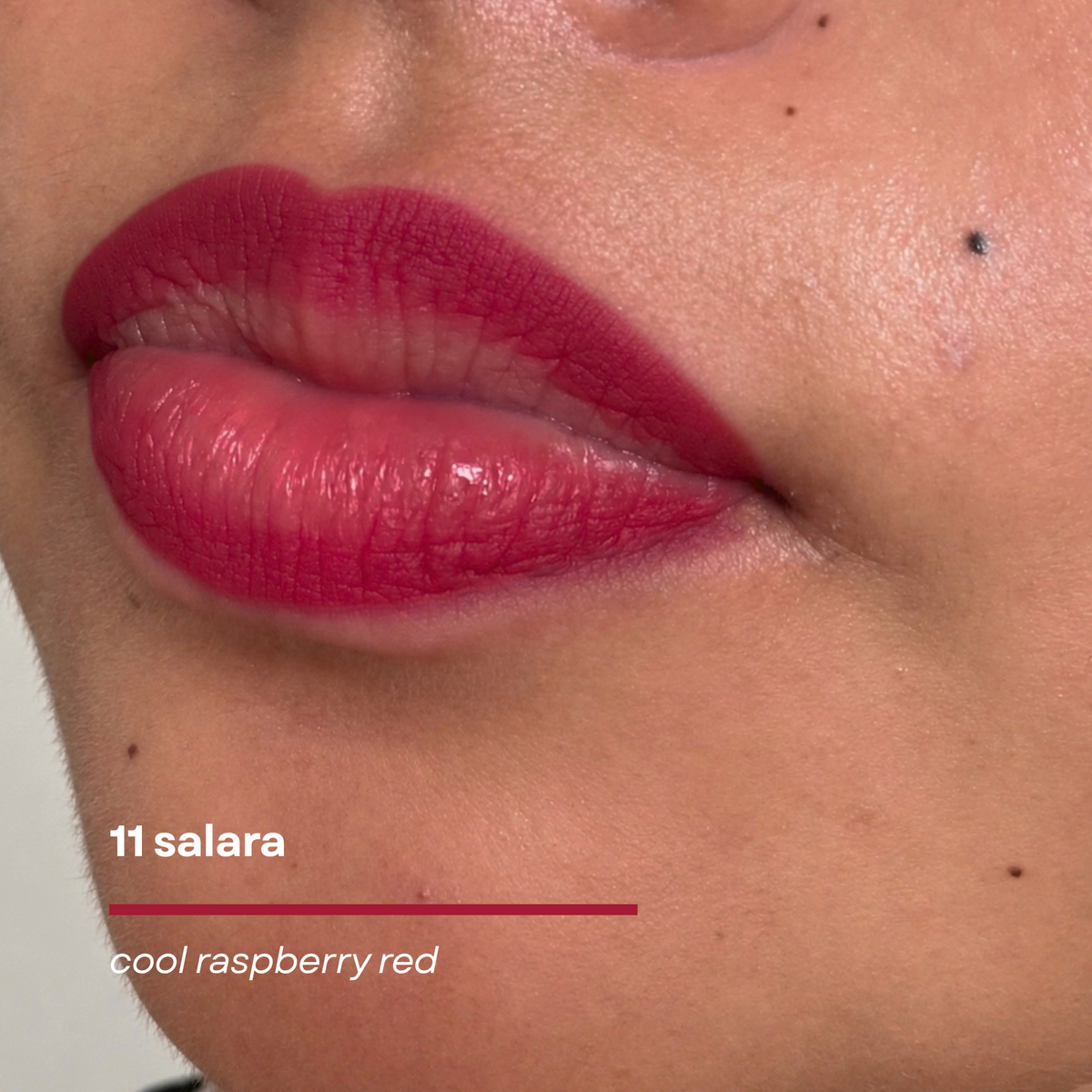SACH Shape n Sculpt Pro Precision Lip Liner