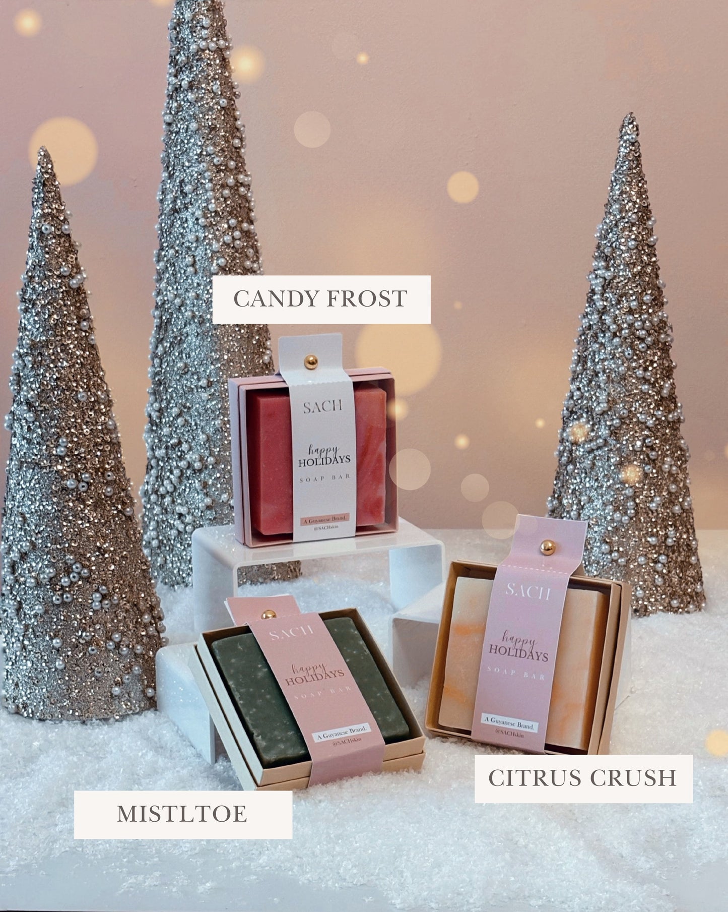 SACH Holiday Luxe Gift Bars