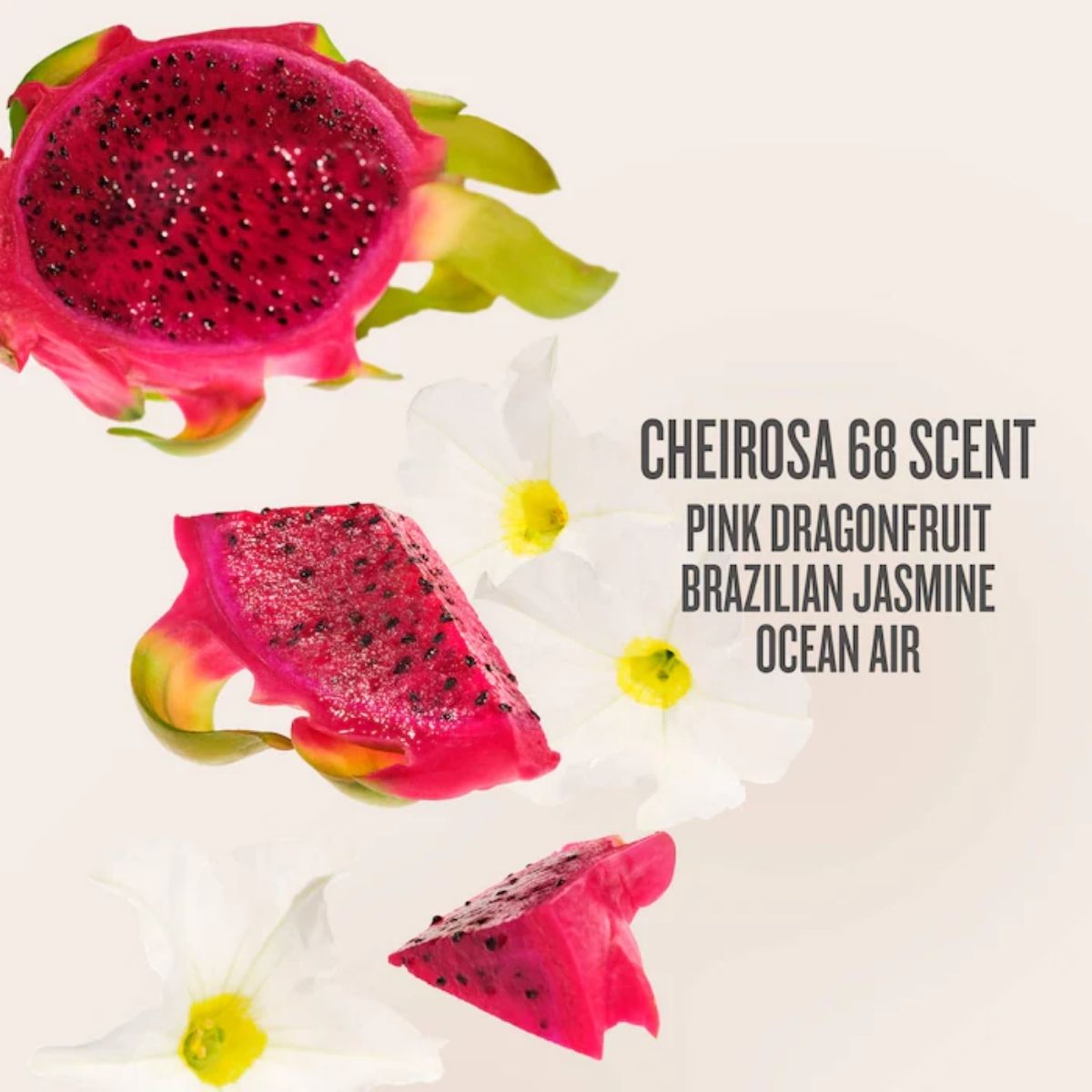 FG - Beija Flor 3 Piece Jet Set